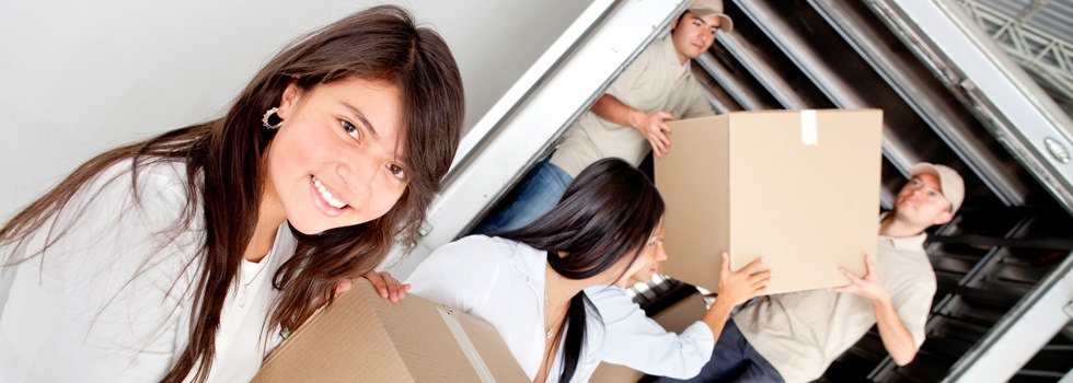 Professional Removalists Paterson QLD